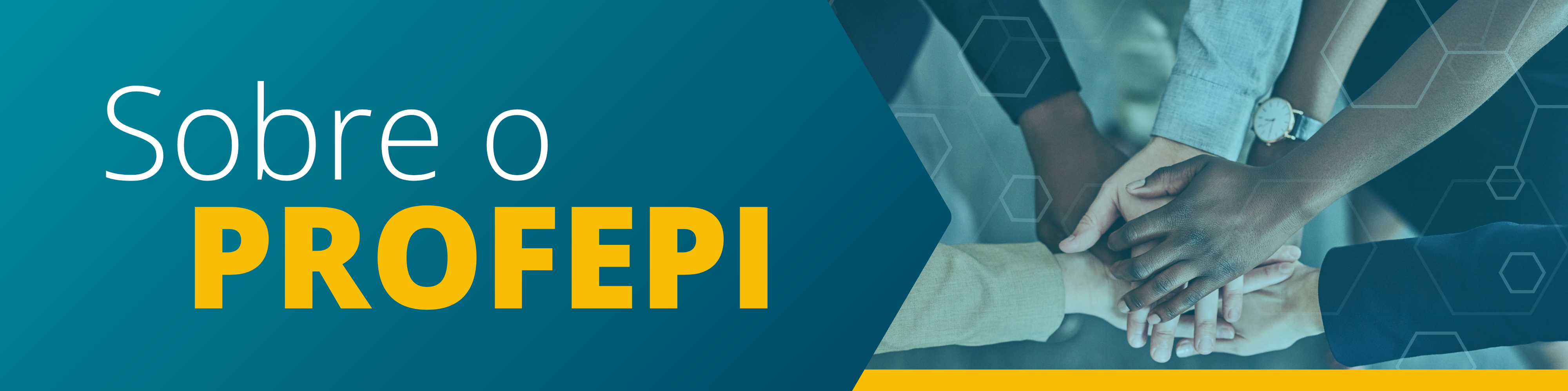 Sobre PROFEPI